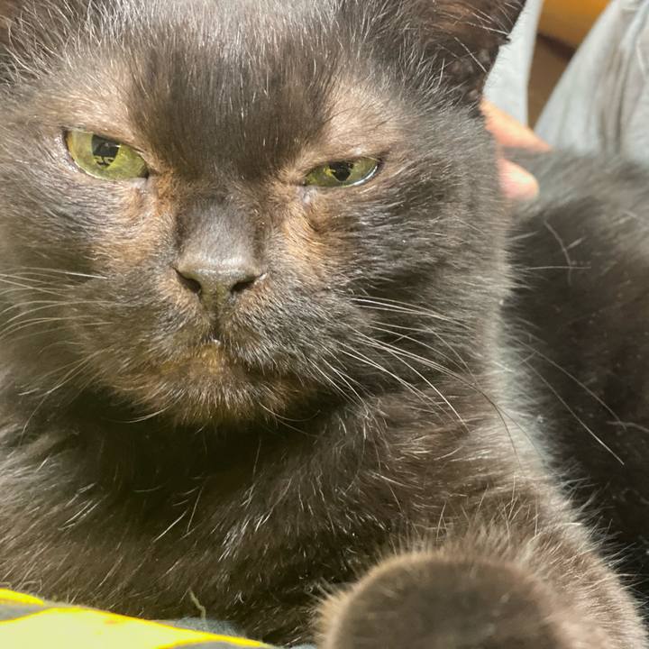 77c60526 c9b4 4986 8d11 c57c42d7e8dd 1607560056461