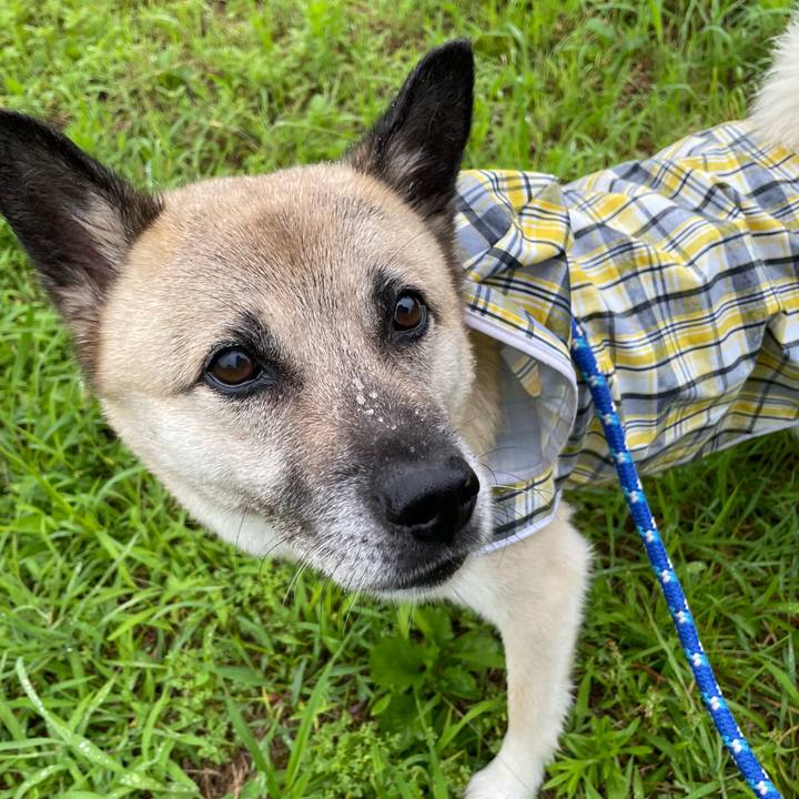 77c6171a 72c9 4c5e abcc e93c040743ab 1720699918951