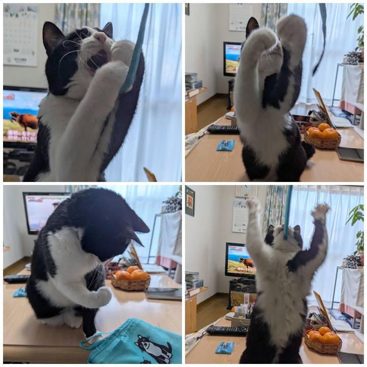 77c621e4 ad70 4716 9a4f 3d24ac3ce15a 1767437155711