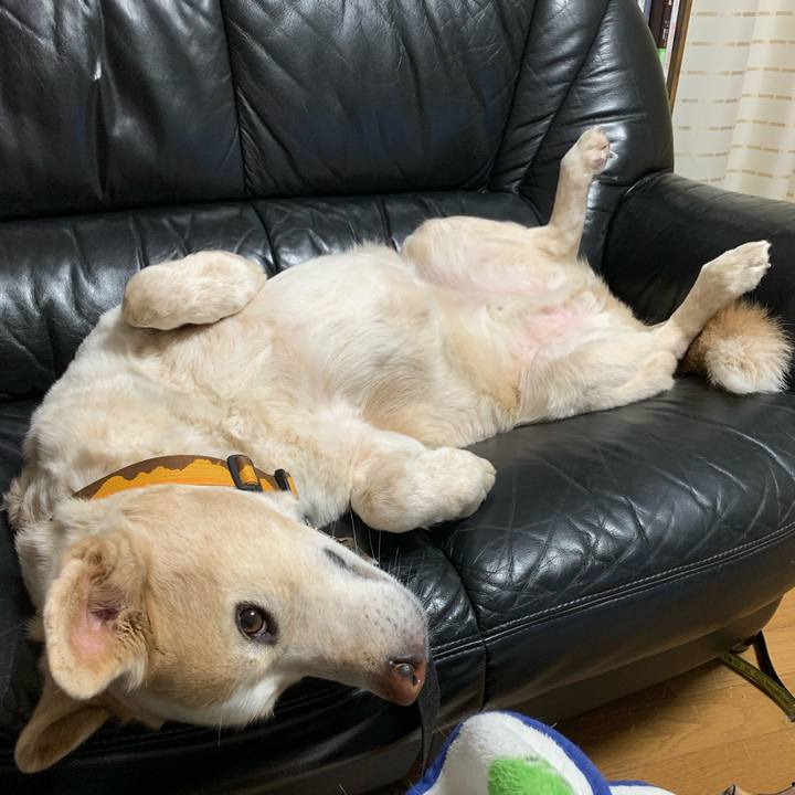 77c63509 8d12 4617 93a2 909f221e6752 1612446958964