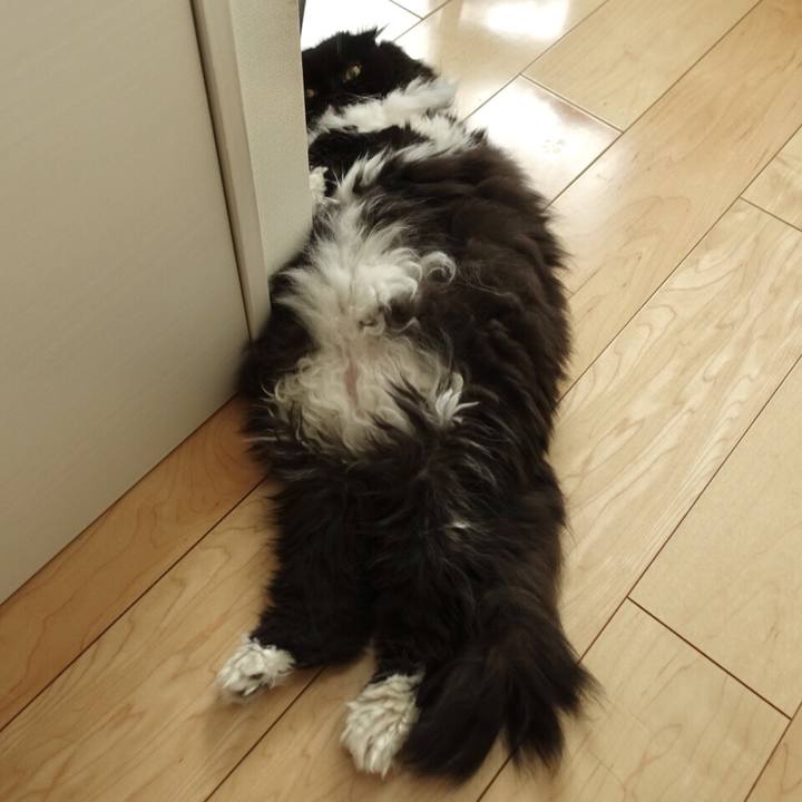 77c66f79 7a60 4781 91fc 988e24648186 1538315207244