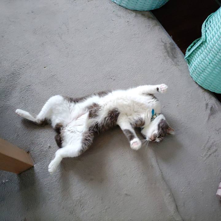 77c68408 b000 46bd 9b8d ce7a0f78521d 1688787218946