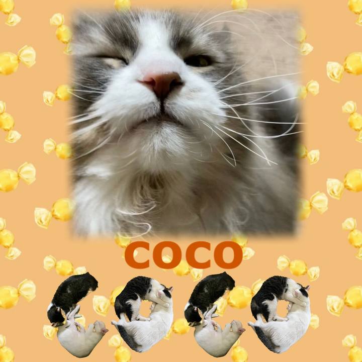 77c6893e 7b07 45b1 b754 20217522528e 1667824190988