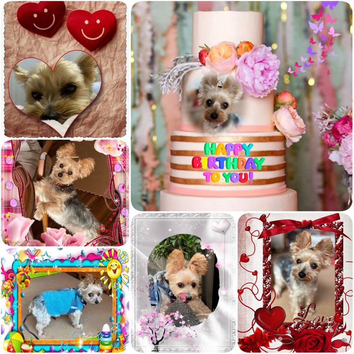 77c6b117 3409 4376 a0b1 bf7ba33c7c5e 1613604779636