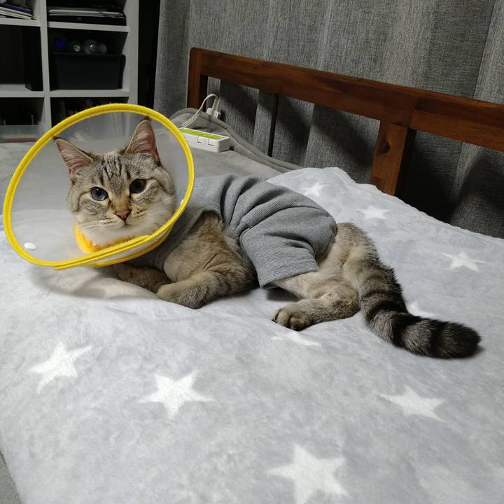 77c6cde9 a9e8 47de 9547 9cd618706de5 1741434486596