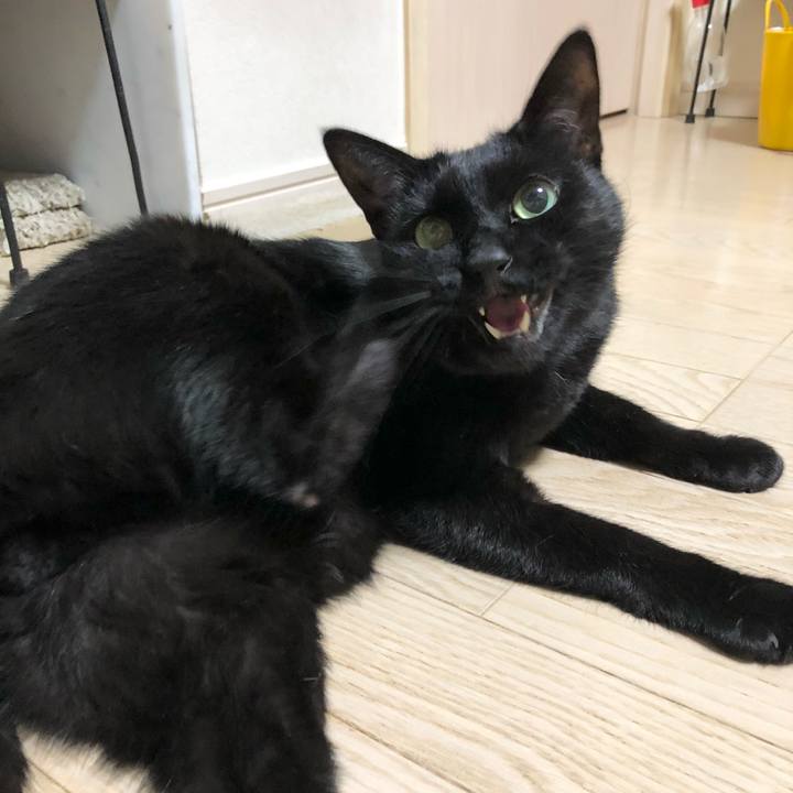 77c7389e ae6b 4308 a44d 05235bae373c 1611835929696