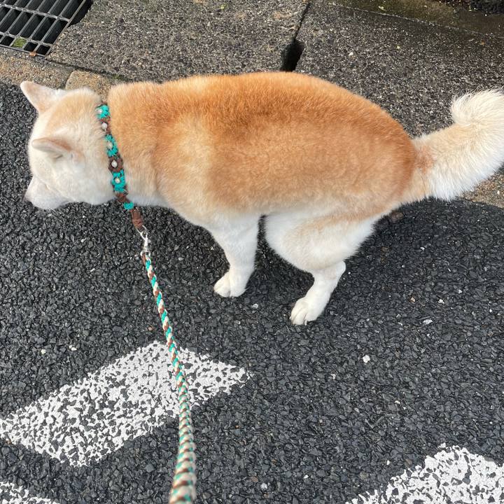 77c746e6 29f5 4230 afbd 8769248b7e88 1713357764636