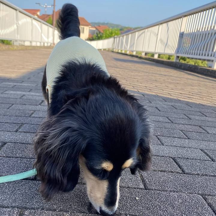 77c77beb 381b 4d0e af46 665578d79ccf 1689034806817