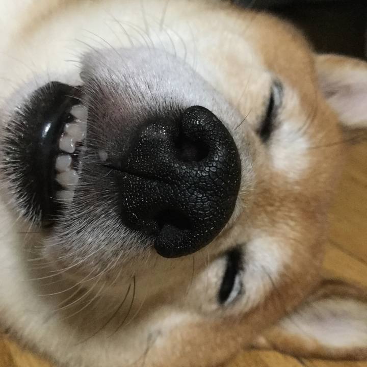 77c78823 015e 43b1 a0a8 f9f78e633c48 1598425981452