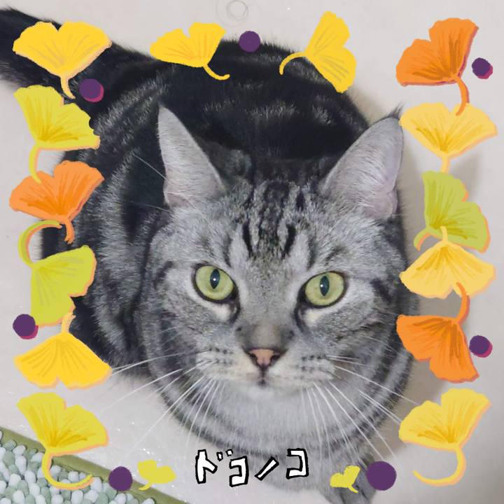 77c7945c 0e9c 4ff5 af09 3662c8e5a948 1729074208934