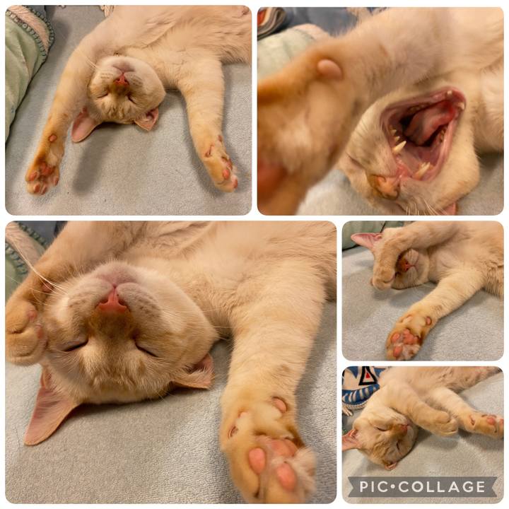 77c79569 7505 4fd3 b466 94a71e886629 1625397284715