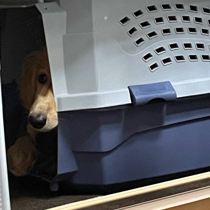 77c7bfe1 bda0 403d 8ad1 a0e2843a0cce 1676041041437