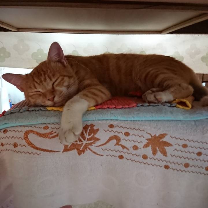 77c7cc7a 9d56 43aa 9b53 bde609d594af 1566333236446