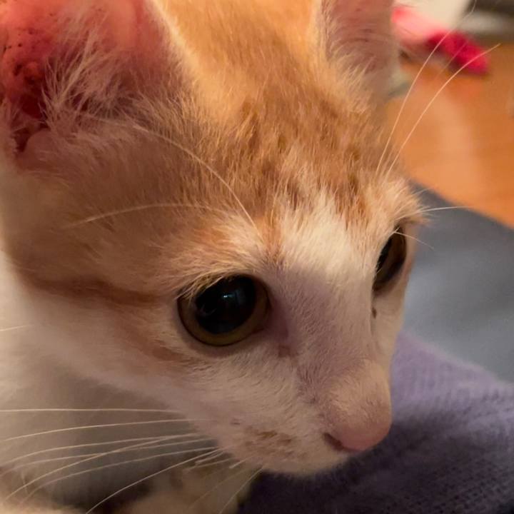 77c7f9de beaa 469f bb77 ef39dd007dd4 1697276199694