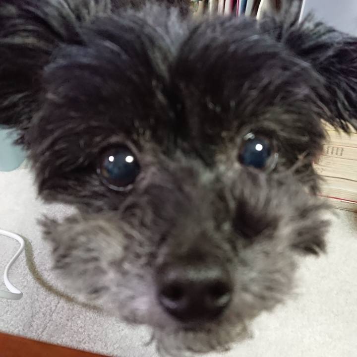 77c80960 9fad 4138 99ba a4786fab5922 1589008722851