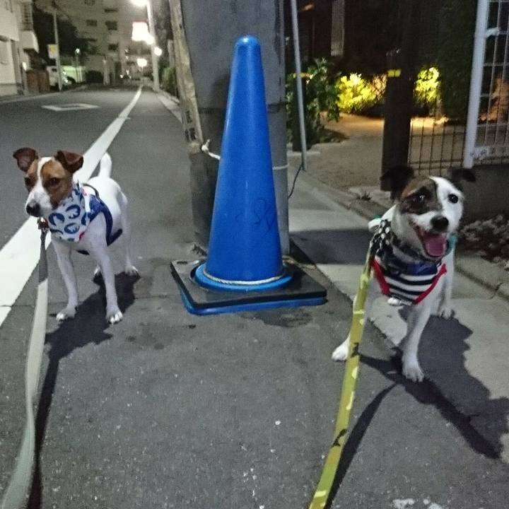 77c81942 3795 41ff 82ae 18b65e49ed55 1531741310311