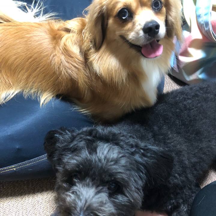 77c8552d efa9 49f3 a7b4 42f52e713113 1536096021826