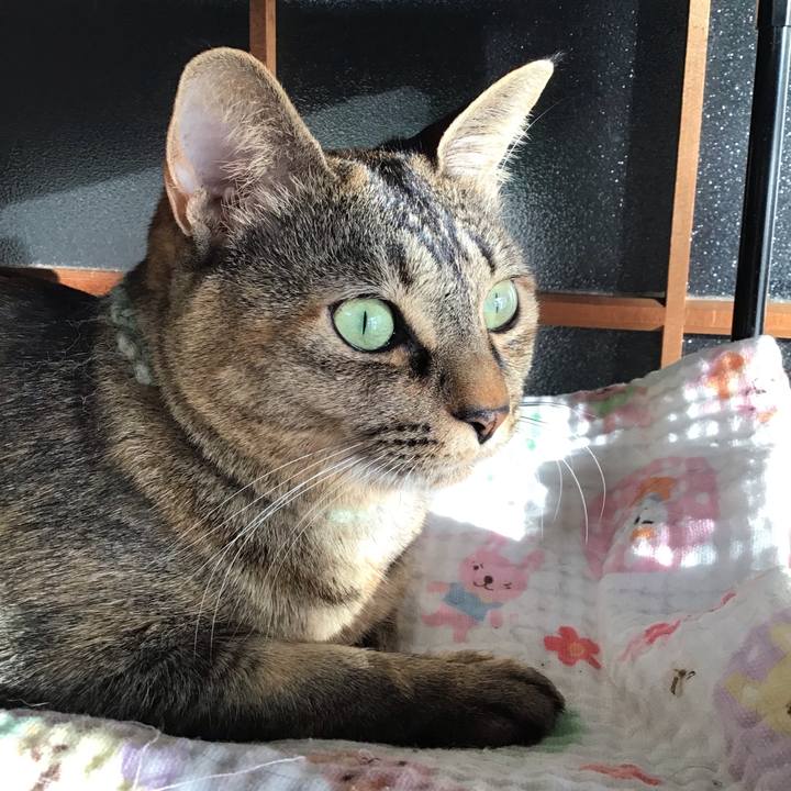 77c87319 d326 4470 b4bc 5f620b42182d 1644188037752