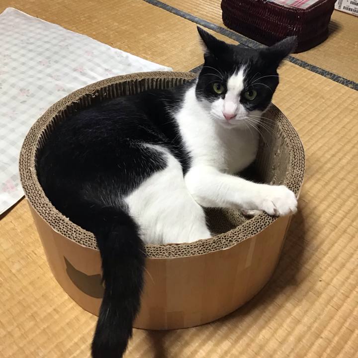 77c87934 7c9e 4f2a ab05 d36ab95508b1 1723706923909