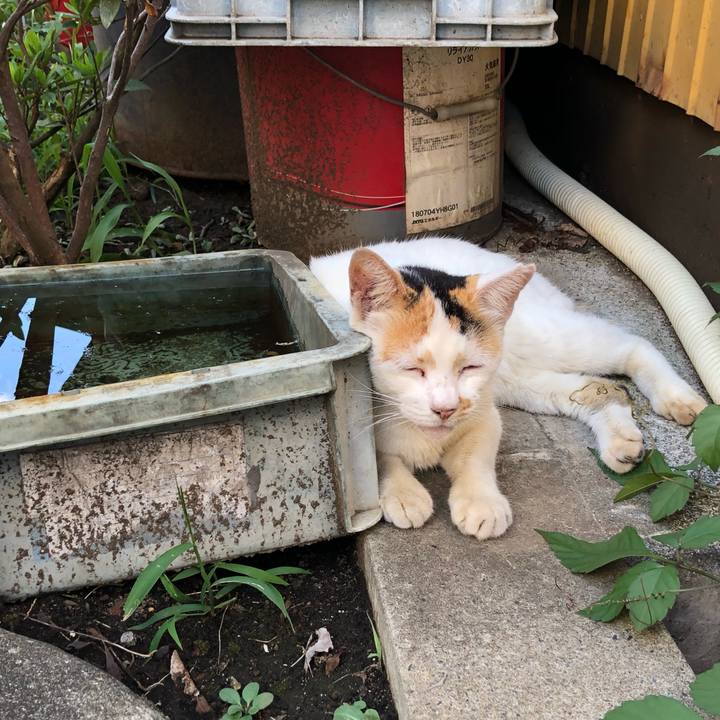 77c885b1 ba2a 4d5e b592 43bbafd09ae1 1629272837626