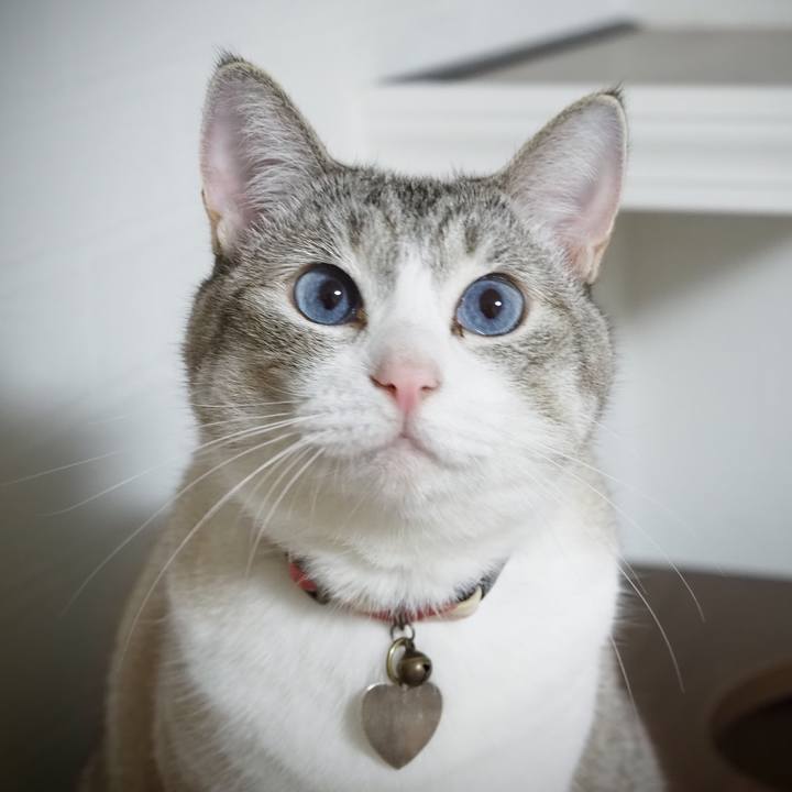 77c8889f 6bc6 460a bad5 8ce6fda92e07 1596325726907