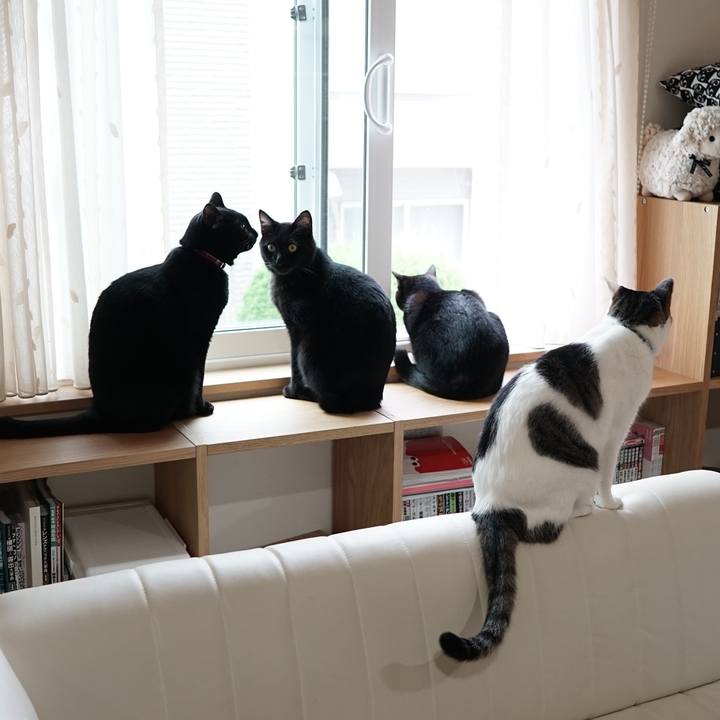 77c89b01 af19 468a a7fb 2a4db587849e 1563322215274