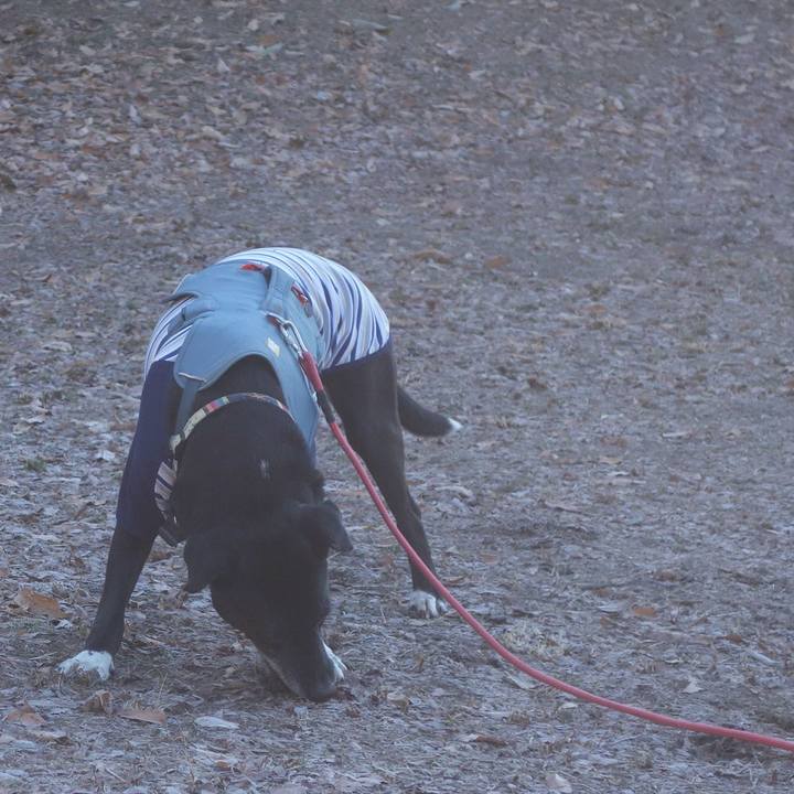 77c8cb5d 4bbf 4c1a a7ad bdcb2e7a378f 1705193786571