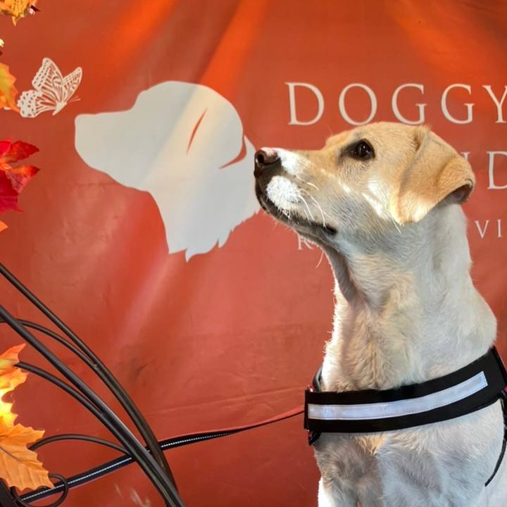 77c8dd92 1ca1 4626 86a7 6f5eef5b079c 1668682510188