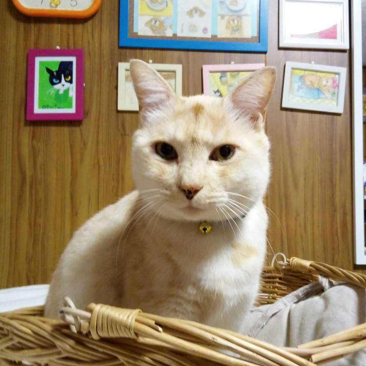 77c8efb6 8799 4b11 83ee b593e5553cf2 1512652203734