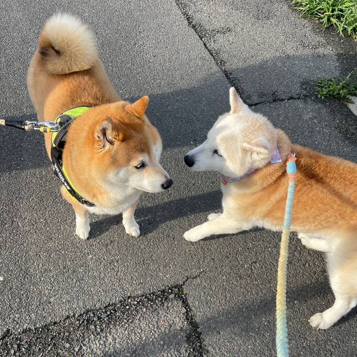 77c9033b 35c0 4075 82bc 370e187da6e7 1679880102421