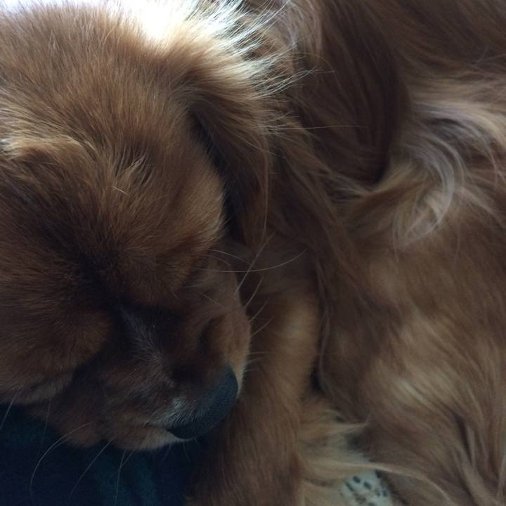 77c91f66 f88c 4e3e 95d6 6c917f0db27e 1522069468742