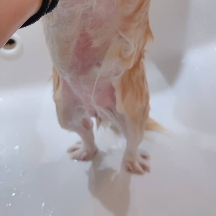 77c93cd4 d4cb 4c68 b002 2eca805af9dd 1765795858246