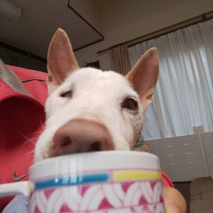 77c9979e 7653 4be2 b579 4d3ff7f8a95e 1558141003696