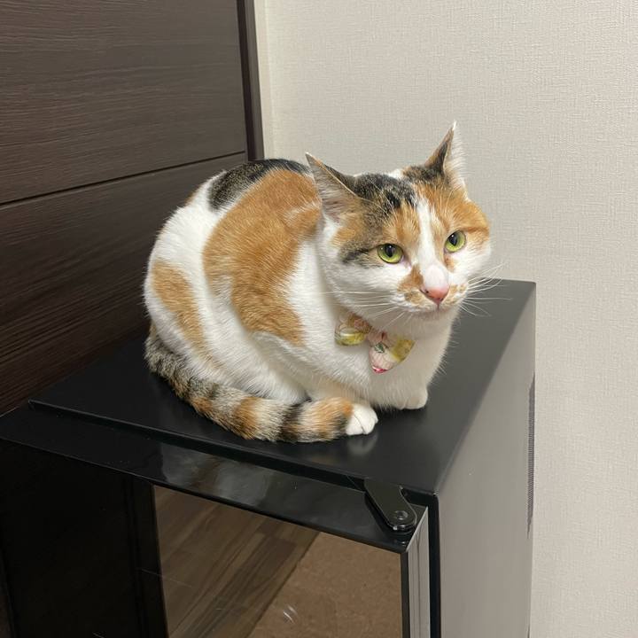 77c9ab64 bcbc 46be 8e98 bebeb77d25b1 1642682881224