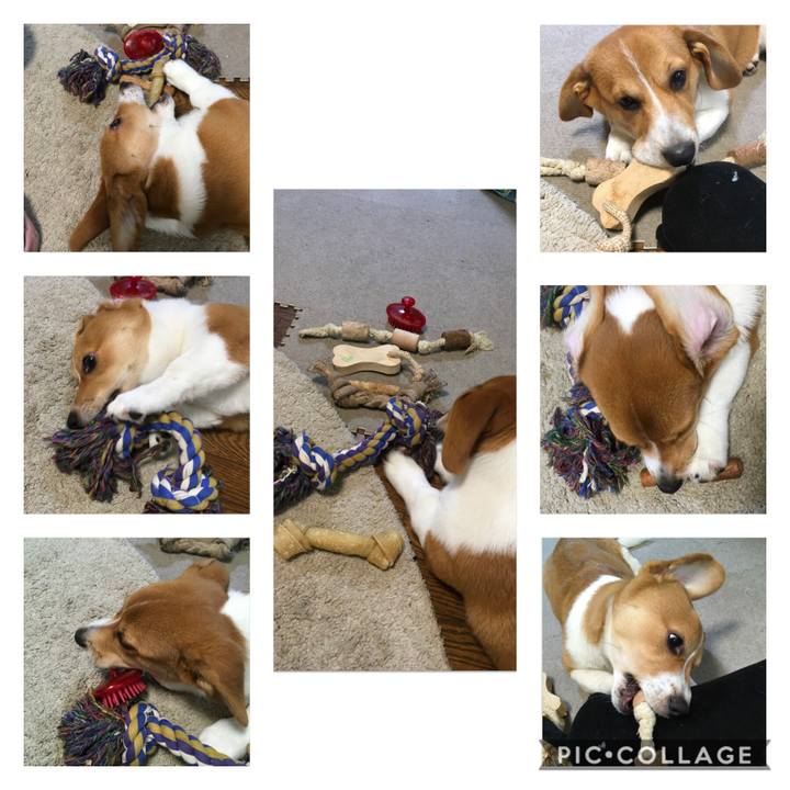 77c9b896 7092 4449 a5fc 5564cefa40ff 1594691417511