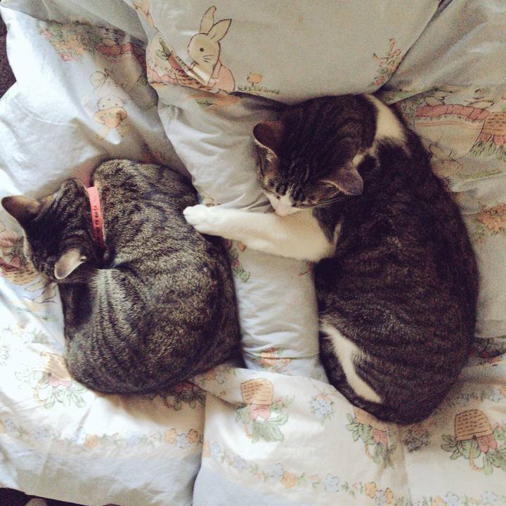 77c9bb3f 7a33 435f a6e7 13272dfa0f75 1514618120993