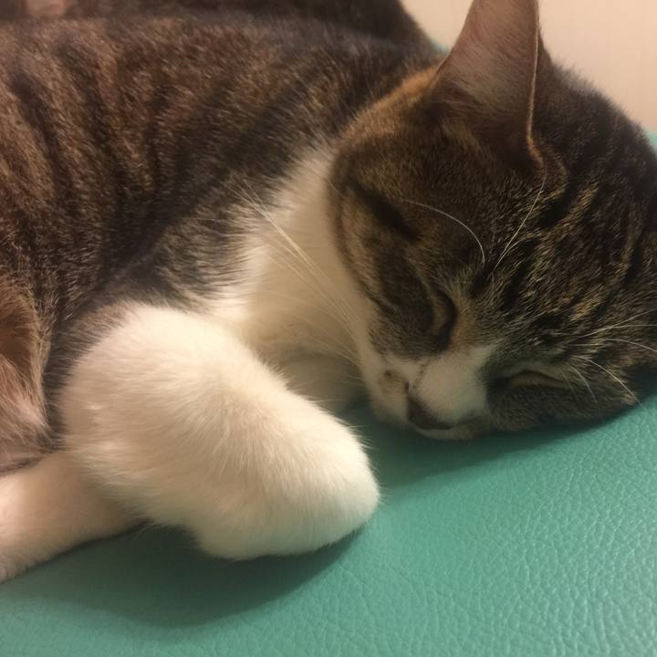 77ca0538 f583 4370 a4e1 c7fcdbe3d2aa 1552664167655