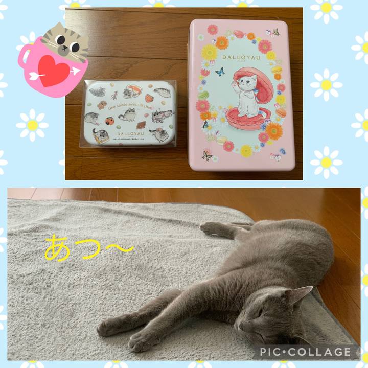 77cab011 2aa5 4f3e 92bc 3f2da1181c77 1660089714834