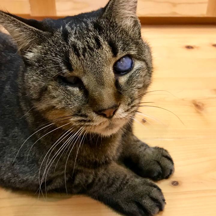 77cab626 f82a 4839 bb5b 0dbcf23abeae 1545461816846