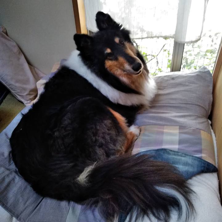 77cadccf 36fe 4296 806e 1d97ffef960c 1527429905026