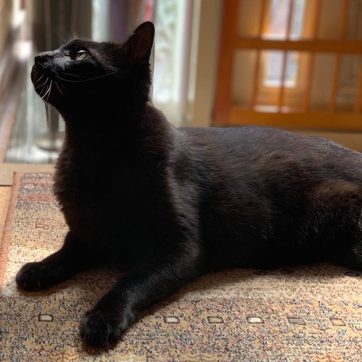 77cb285d de03 4996 8e4a e845977c46f9 1558573819418