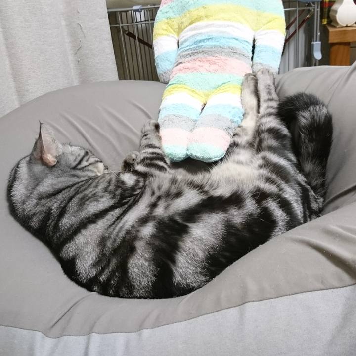 77cb28ca 2767 4c6a 8ecf 3a156ee3ddb9 1510628801047