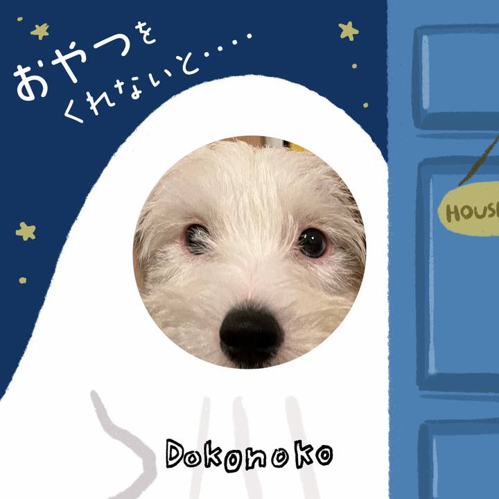 77cb6b1d 3b32 49dc 93f5 3e38dc20b9bc 1729136315492