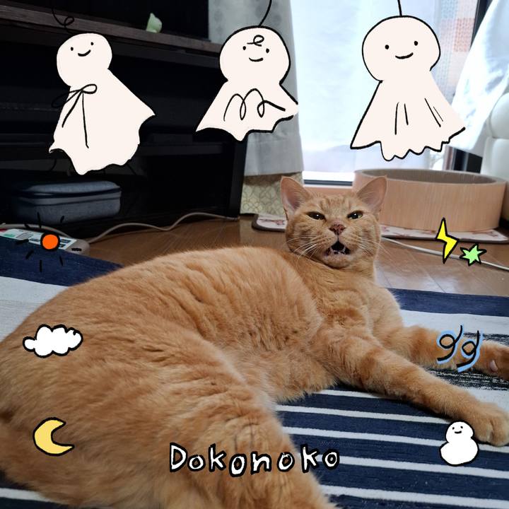 77cb748a 7ad8 40dd 8079 7bbcc50d32a4 1749257062633