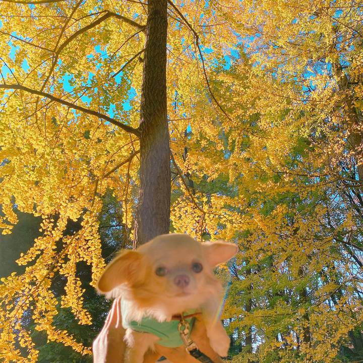 77cb97d4 5057 47ca 97f6 8cb407094b6b 1636969970608