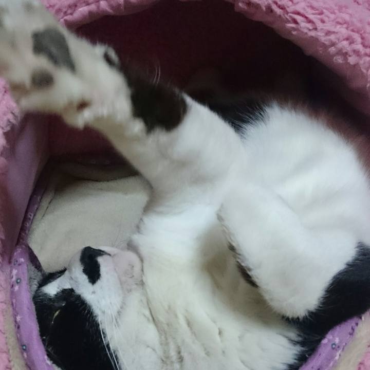 77cbe2a7 5104 49c7 ad8c 85b767e74636 1523936229566