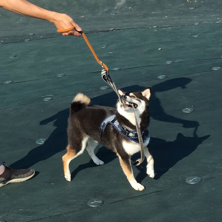 77cc255b ede9 4d1e ab60 e4643d7a4db9 1568084872248