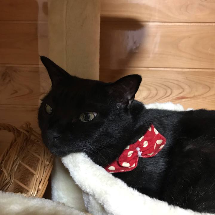 77ccaf8c b80a 496a bd93 760e827a09e0 1555593893354