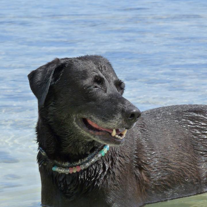 77ccca00 5da3 4033 8c14 5f23f0431358 1532494442472