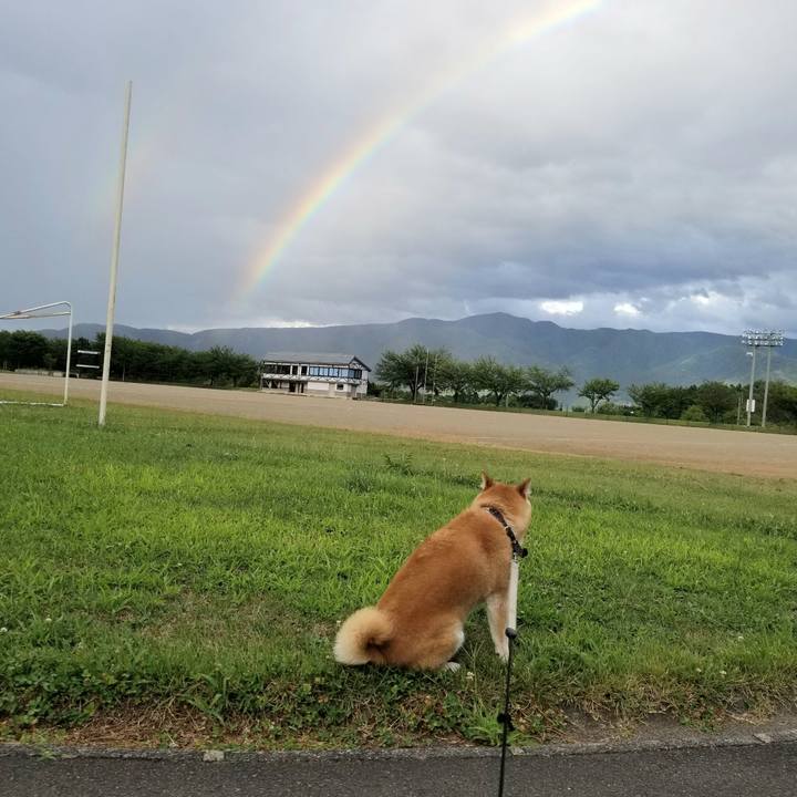 77ccf732 0cbe 4a20 8c8a ad8fb77573b7 1628499278738